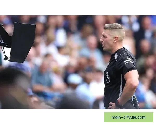 VAR判罚之争厘米还是公正性